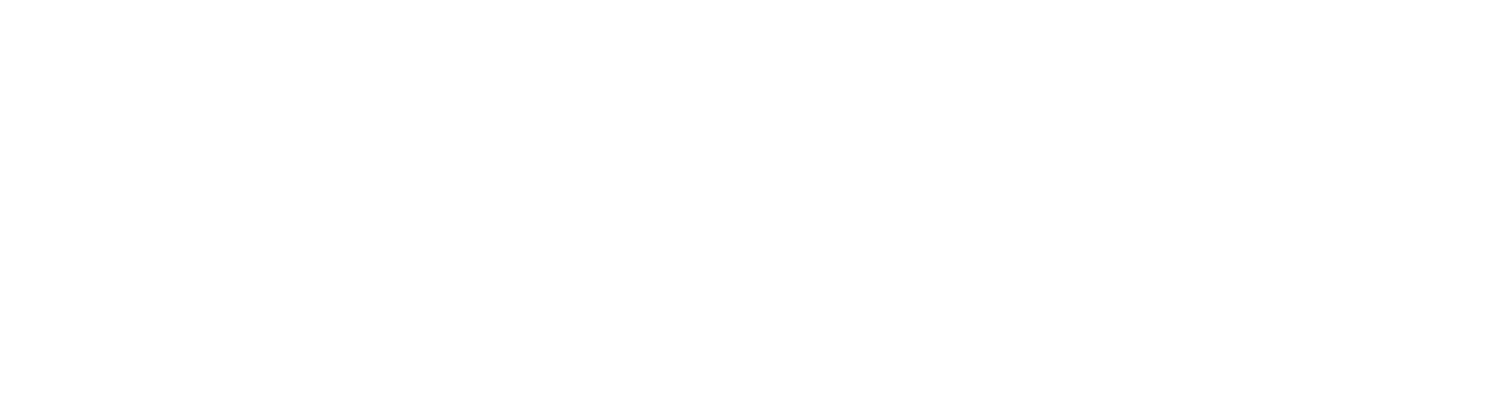 SMZH Logo - Website - White